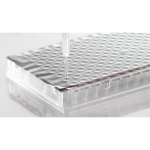 Azenta Life Sciences Foil Heat Seal Plate Seal Pierce-Able 122m Roll Azenta Life Sciences A4s compat