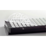 Azenta Life Sciences Clear Seal Plus Heat Seal High Tensile strength Optically Clear Plate Seal Peel
