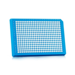 Azenta Life Sciences FrameStar 384 Well PCR Plate Ultra-Rigid Skirted Blue Frame Clear Wells A24 Cut