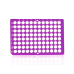 Azenta Life Sciences FrameStar 96 Well PCR Plate Non-Skirted Purple Frame Clear Wells H1 Cut Corner