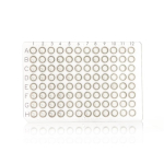 Azenta Life Sciences FrameStar 96 Well PCR Plate Non-Skirted Clear Frame Clear Wells H1 Cut Corner