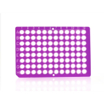 Azenta Life Sciences FrameStar 96 Well PCR Plate Non-Skirted Low Profile Purple Frame Clear Wells H1