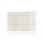 Azenta Life Sciences FrameStar 96 Well PCR Plate Non-Skirted Low Profile Clear Frame Clear Wells H1