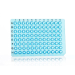 Azenta Life Sciences 16 Well PCR Plate Segment Non-Skirted Blue H12 Cut Corner