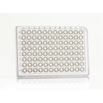 Azenta Life Sciences FrameStar 96 Well PCR Plate Semi-Skirted Clear Frame Clear Wells A12 Cut Corner