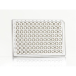 Azenta Life Sciences FrameStar 96 Well PCR Plate Semi-Skirted Clear Frame Clear Wells A12 Cut Corner