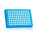 Azenta Life Sciences FrameStar 96 Well PCR Plate Skirted Low Profile Blue Frame Clear Wells H1 Cut C