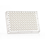 Azenta Life Sciences FrameStar 96 Well PCR Plate Skirted Low Profile Clear Frame Clear Wells H1 Cut