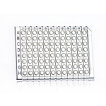 Azenta Life Sciences Break-A-Way 96 Well PCR Plate Breakable Vertically Semi-Skirted Low Profile Cle