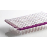 Azenta Life Sciences Adhesive Plate Seals Clear  Film Sheets Suitable For PCR Peel-Able
