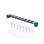 Azenta Life Sciences 0.2mL 8-Well PCR Tube Strips with PC Frame with Flat Strip Caps Clear Wells Gre