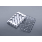 Cell Scientific Polystyrene Tissue Culture Plate  12-Well TC Treated