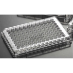 ClearLine Tissue Culture Plate 12 Well Well Volume 6.80mL Sterile with Treated Surface