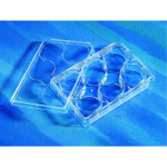 Corning CellBIND 96-Well Microplate Flat Clear  Bottom Black Polystyrene Sterile with Lid