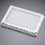 BioCoat Collagen IV 96 Well Clear Flat Bottom TC-Treated Microplate, with Lid, Nonsterile