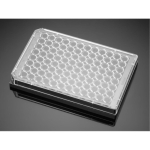 BioCoat Collagen I 96 Well Black with Clear Flat Bottom TC-Treated Microplate, with Lid