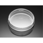Corning BioCoat Poly-D-Lysine 35mm TC-Treated  Culture Dish, 9.6cm2