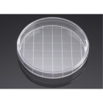 Corning BioCoat Poly-D-Lysine 150mm Gridded  Culture Dish, 151.9cm2 Cell Growth Area