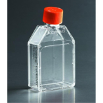 Corning CellBIND 225cm2 Rectangular, Angled Neck, Cell Culture Flask with Vent Cap