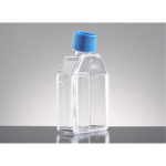 Corning BioCoat Collagen I 175cm2 TC-Treated Flask with Vented Cap, Rectangular, Straight Neck