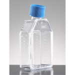 Corning BioCoat Poly-D-Lysine 25cm2 TC-Treated  Flask with Vented Cap, Rectangular, Canted Neck