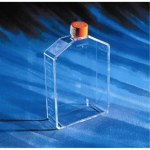 Corning 225cm2 Angled Neck Cell Culture Flask with Vent Cap