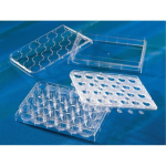 HTS Transwell-24 Well Permeable Support 0.4um Pore Polycarbonate Membrane and 6.5mm Inserts Sterile