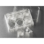 24mm Transwell with 3.0um Pore Polycarbonate Membrane Insert Sterile