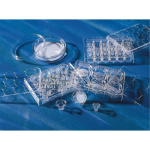 6.5mm Transwell with 3.0um Pore Polycarbonate Membrane Insert Sterile