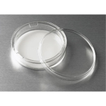 75mm Transwell with 3.0um Pore Polycarbonate Membrane Insert Sterile
