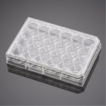 BioCoat Collagen I Cell Culture Inserts with 3.0 um Pore PET Membrane in Two 24 Well Plates