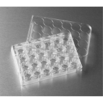 Corning Costar 24 well plate TC-treated flat bottom with lid individually wrapped sterile