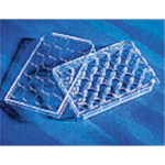 Costar 24 Well Clear TC-Treated Multiple Well Plates Bulk Pack Sterile