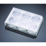 Corning BioCoat Matrigel Invasion Chamber with  8.0um PET Membrane in Four 6 Well Plates