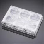 Corning PureCoat Collagen I Peptide 24 Well Clear  Plate with Lid, Sterile, Cell Growth Area 2cm2