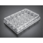 BioCoat Growth Factor Reduced (GFR) Matrigel Invasion Chamber