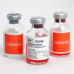 Corning Matrigel Basement Membrane Matrix; High  Concentration (HC); LDEV-Free; 10mL