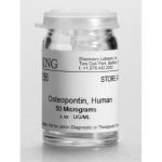 Osteopontin, Human, 50 ug