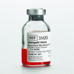 Corning Matrigel Growth Factor Reduced (GFR)  Basement Membrane Matrix; High Concentration  (HC); LD