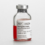 Corning Matrigel Basement Membrane Matrix; Phenol  Red-Free; LDEV-Free; 10mL