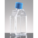 Corning BioCoat Poly-D-Lysine 4-Well Culture Slide
