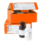 Amersham ECL Prime Western Blotting Detection Reagent