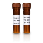 Amersham ECL DualVue Western Blotting Markers