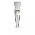 Amersham ECL Plex Fluorescent Rainbow Markers 500ul Amersham ECL Plex Fluorescent Rainbow Markers 500ul