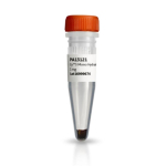 Amersham Cy3 hydrazide 1mg