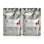Amersham Cy5 Ab Labeling Kit