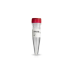Anti-GST HRP Conjugate