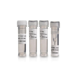 Recombinant Taq Dna Polymerase