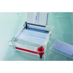 Eppendorf Research plus 24-Channel Variable  Pipette 1-20uL Pink