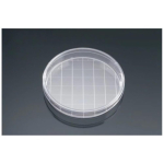 Falcon 150 x 25mm TC-Treated Cell Culture Dish with 20mm Grid